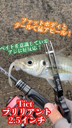 新品タグ付エメフィール Mシアーリュクスフルバック 　藤色 ブースターパック 渾沌竜姫編 約束 ユナイトアーク ｜ Z/X