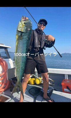 XOOX ROCK FISH GR III S76M - 釣具のポイント 【公式