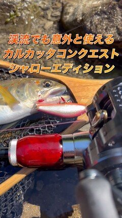 シマノ カルカッタコンクエスト シャローエディション 30HG 右