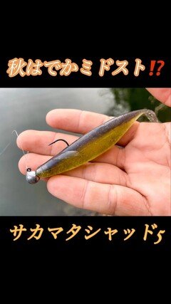 ハヤブサ パーフェクトジグヘッド タイプラウンド FF157 1/8oz #1/0