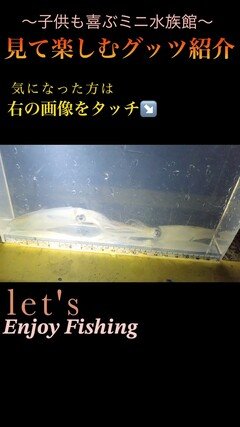 XOOX ロッドホルダー付 EVAクリア活かし水汲みバケツ 21cm XOOX ロッドホルダー付 EVAクリア活かし水汲みバケツ 21cm