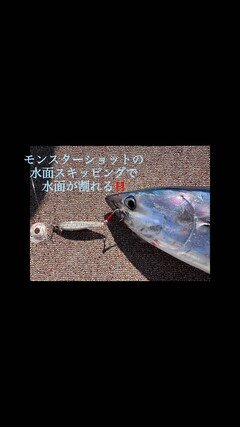 Amazon.co.jp: シマノ(SHIMANO) ペンシル オシア ペンシル